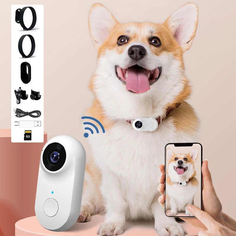 Pet Camera Collar for Cats and Dogs