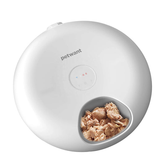 Automatic Cat Feeder with LED Screen — 6 Meals, 200ml Per Tray