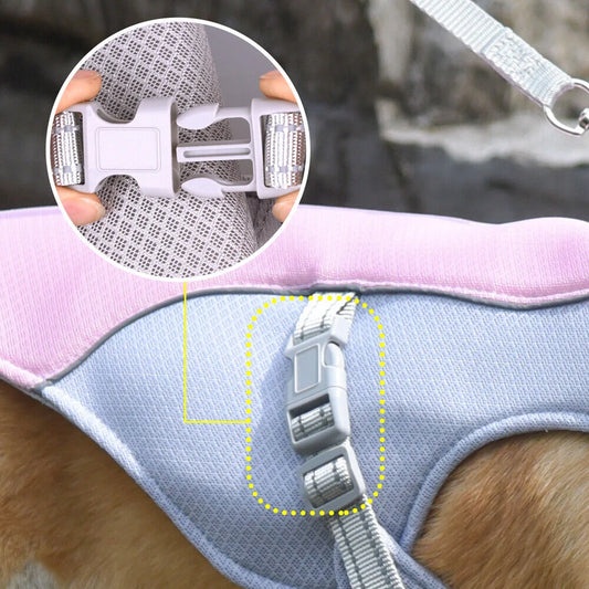 Breathable Mesh Cooling Dog Harness Vest – Sun Protection Summer Vest for Small Medium Large Dogs