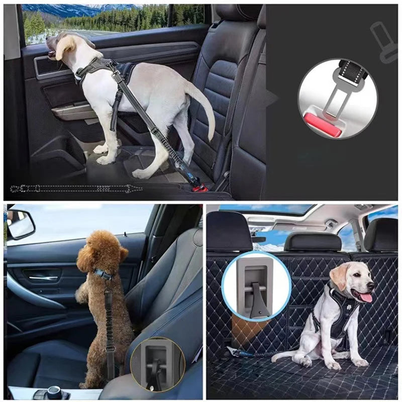 Tactical Dog Leash & Car Seat Belt – Heavy Duty Bungee Nylon with Quick-Release