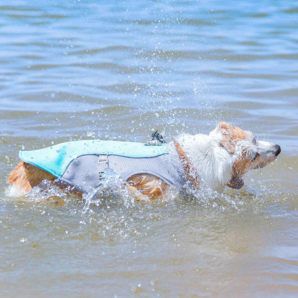 Breathable Mesh Cooling Dog Harness Vest – Sun Protection Summer Vest for Small Medium Large Dogs