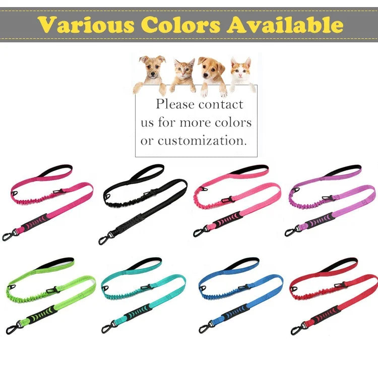2-in-1 Elastic Dog Running Leash & Car Seat Belt | Retractable Safety Leash