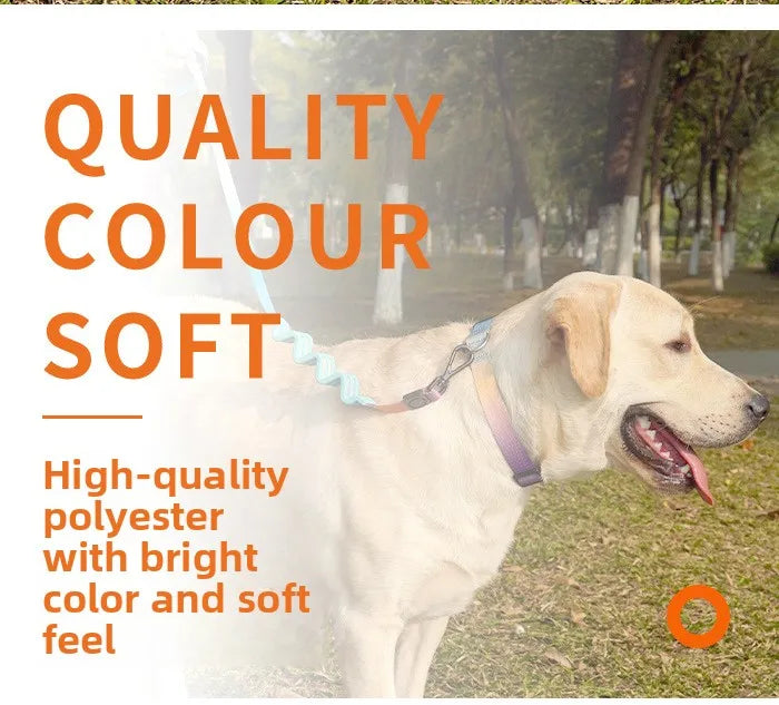 Gradient Color Dog Leash — Shock-Absorbing Polyester