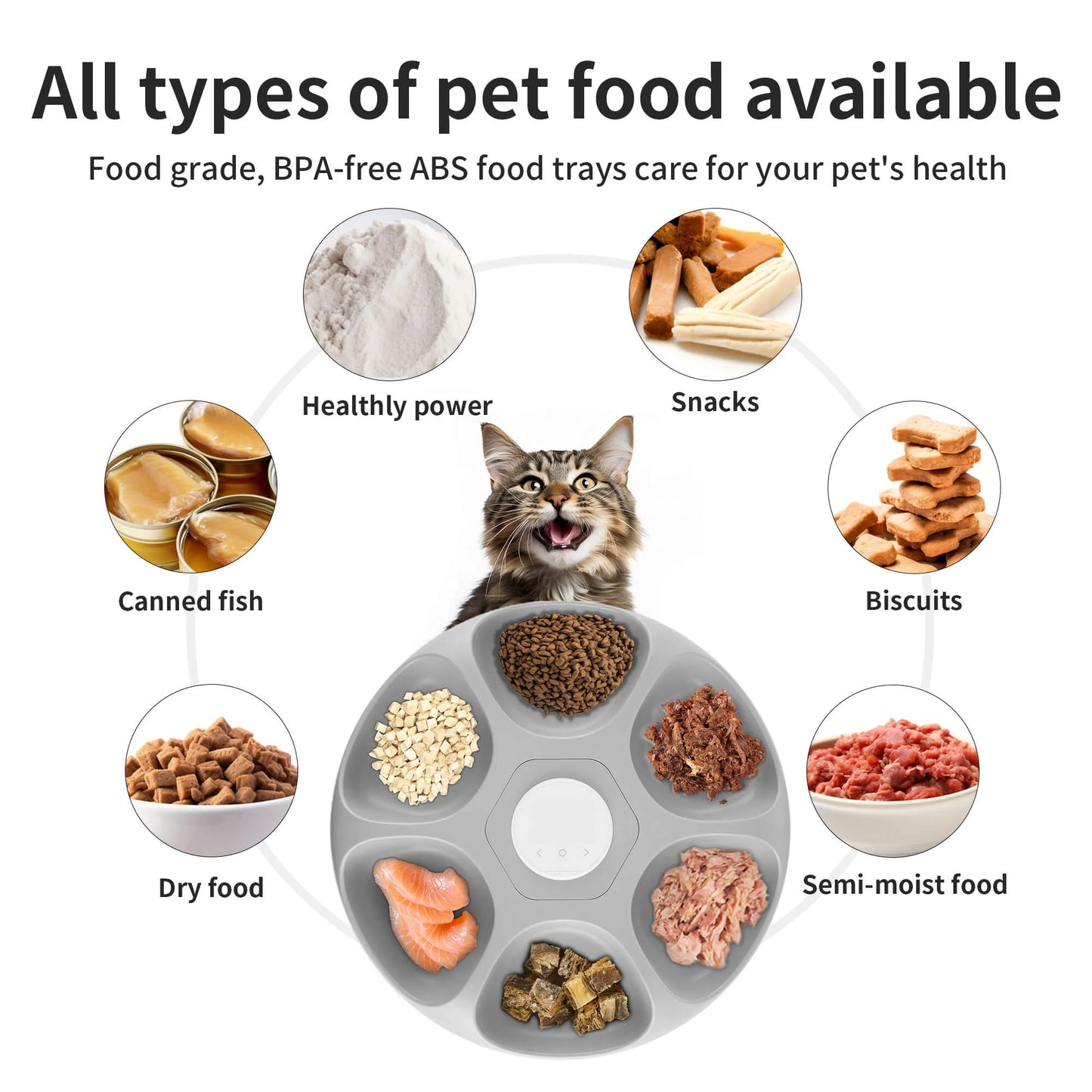 Automatic Cat Feeder with LED Screen — 6 Meals, 200ml Per Tray