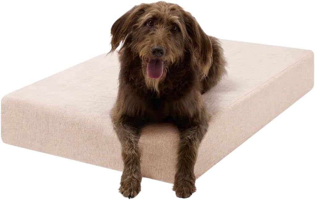 Barker Beds Orthopedic Dog Bed – 7" Memory Foam Mattress for Large & Giant Dogs, Joint Pain & Arthritis Support, Washable Cover