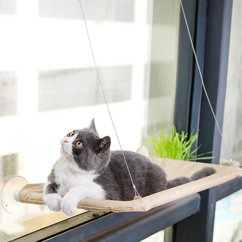 Window Cat Hammock – Hanging Aerial Sunny Seat with Suction Cups, Climbing Frame & Soft Bed for Indoor Cats