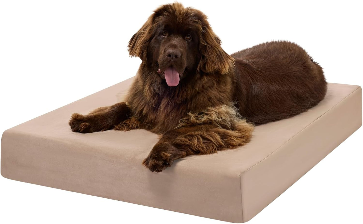 Barker Beds Orthopedic Dog Bed – 7" Memory Foam Mattress for Large & Giant Dogs, Joint Pain & Arthritis Support, Washable Cover