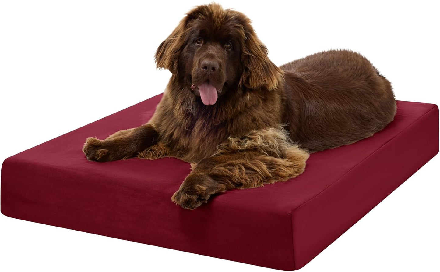 Barker Beds Orthopedic Dog Bed – 7" Memory Foam Mattress for Large & Giant Dogs, Joint Pain & Arthritis Support, Washable Cover
