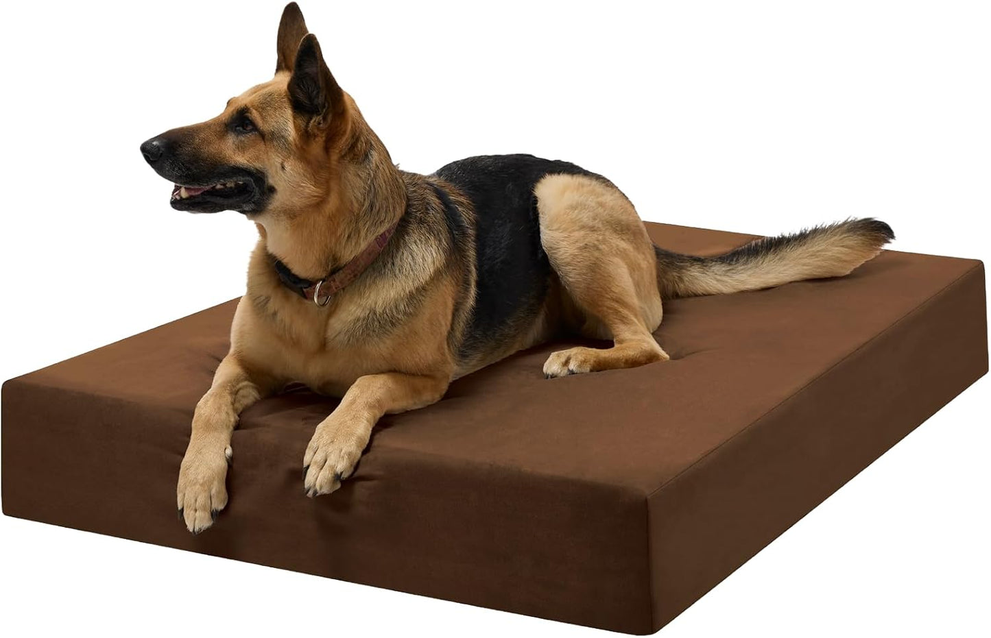 Barker Beds Orthopedic Dog Bed – 7" Memory Foam Mattress for Large & Giant Dogs, Joint Pain & Arthritis Support, Washable Cover