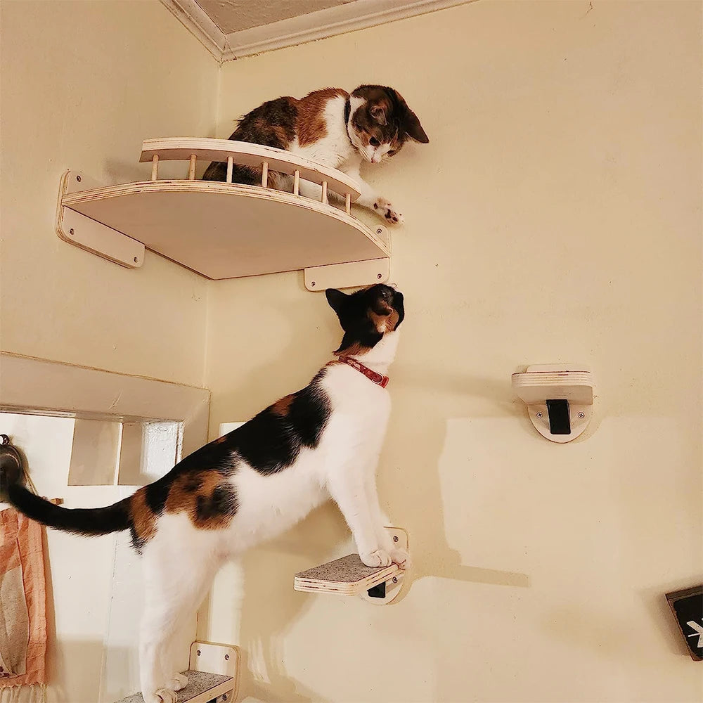 Wall-Mounted Cat Climbing Shelf – Modular Cat Wall Furniture with Hammock, Stairway, Scratching Post & Perch, Pine Wood