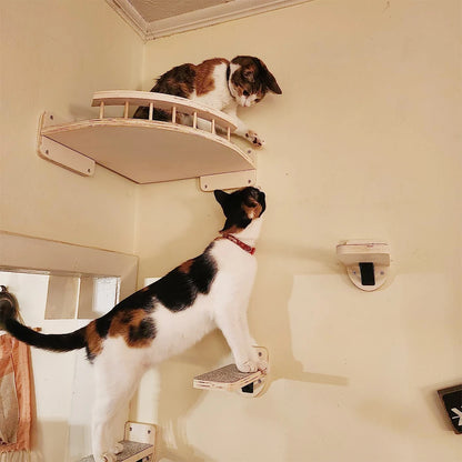 Wall-Mounted Cat Climbing Shelf – Modular Cat Wall Furniture with Hammock, Stairway, Scratching Post & Perch, Pine Wood