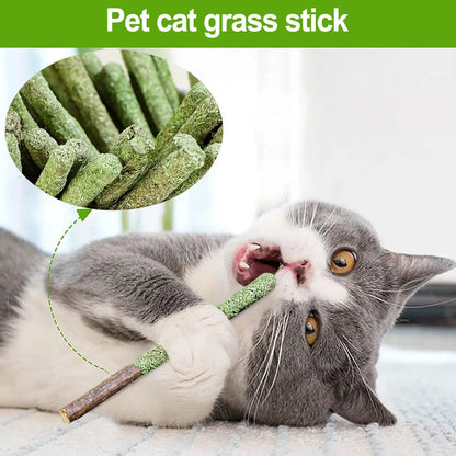 Cat Grass Catnip Chew Sticks –  Hairball Removal & Interactive Play