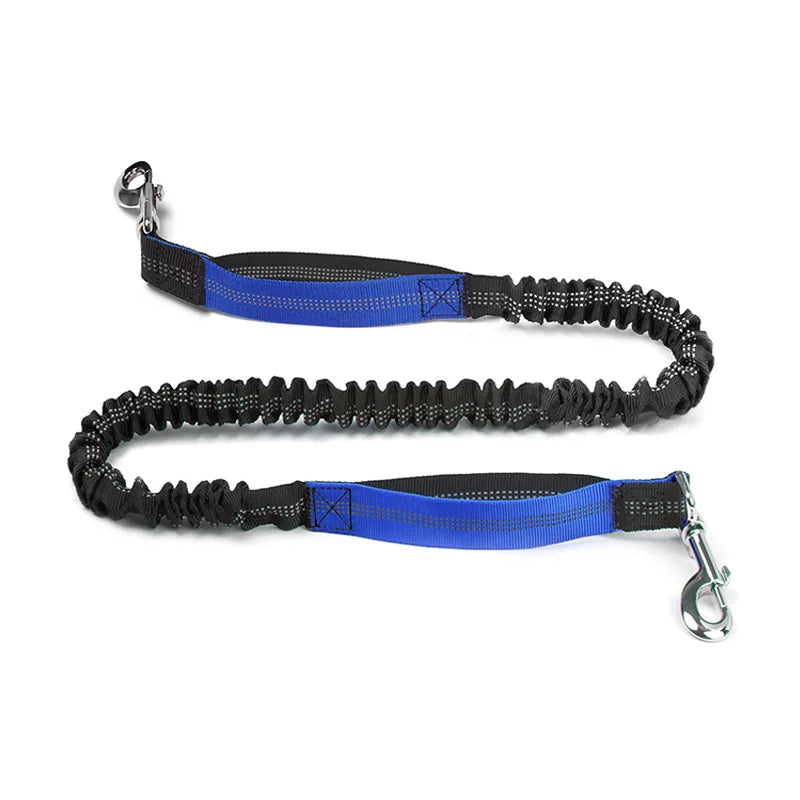 Reflective Adjustable Dog Leash — Durable Nylon Running Lead for Dogs & Cats