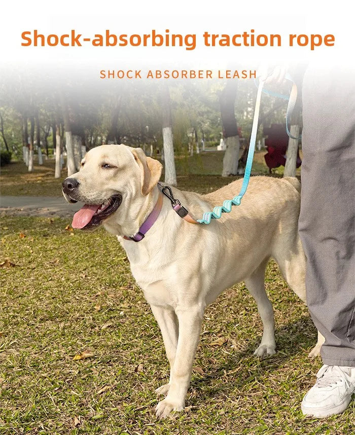 Gradient Color Dog Leash — Shock-Absorbing Polyester