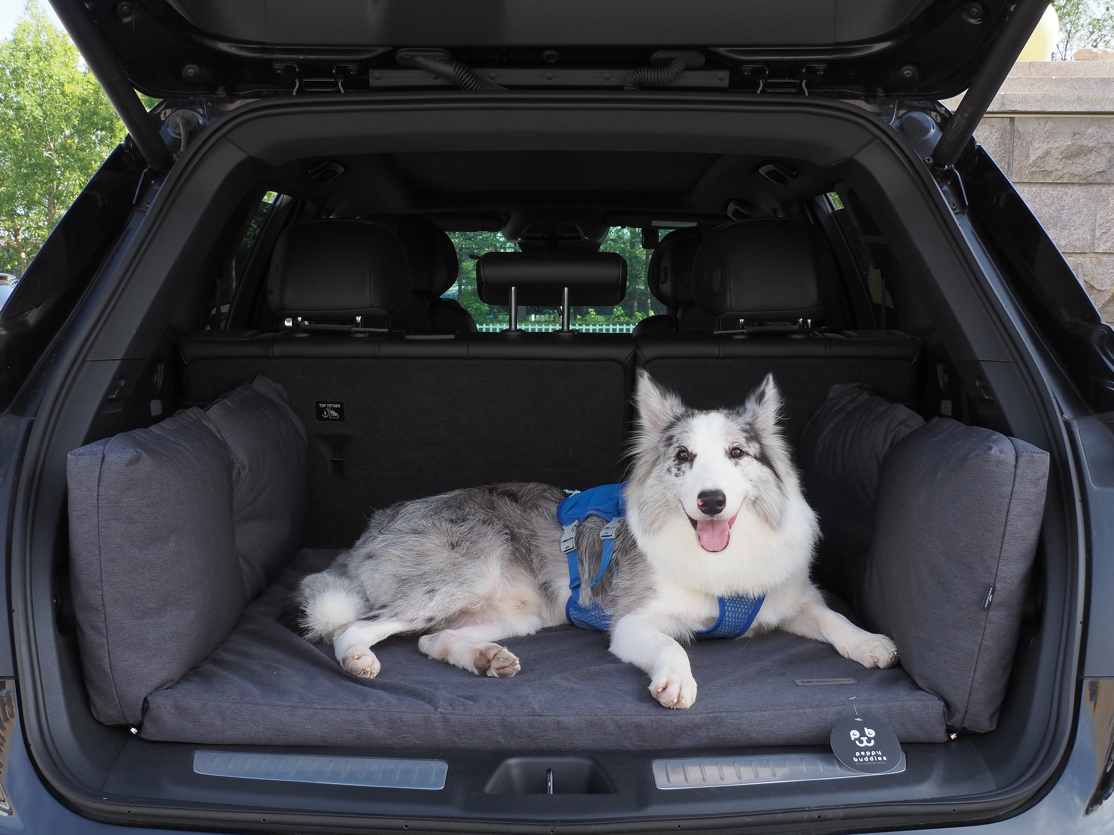 Waterproof Oxford Orthopedic Pet Mat | Car Trunk Protector & Travel Dog Bed