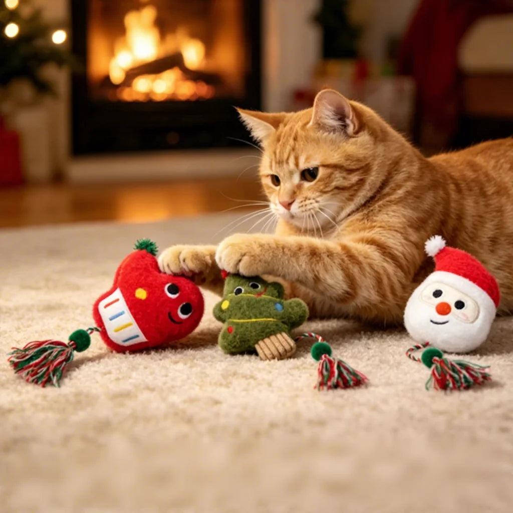 Catnip Plush Cat Toy Ball with Rope – Interactive Kitten Toy