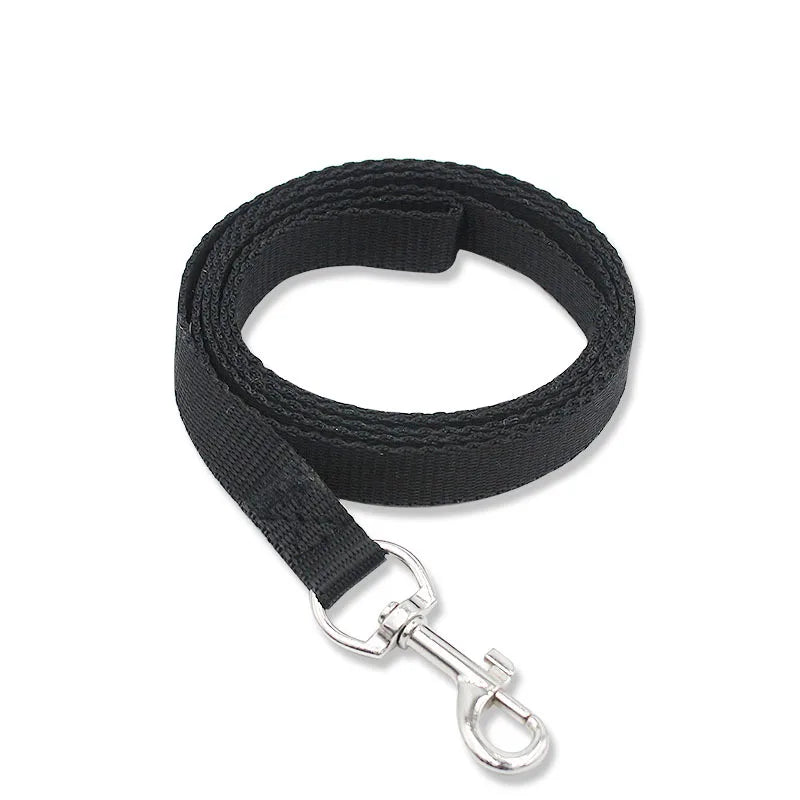 Colorful Nylon Dog Leash 150cm — Lightweight Fluorescent Walking Lead for Small Dogs