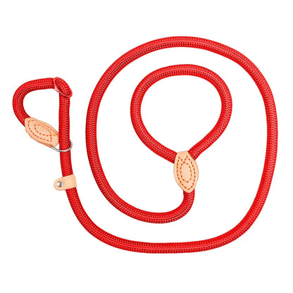 Nylon Dog Training Leash — Heavy-Duty P-Chain Lead for Outdoor Walking S M L XL