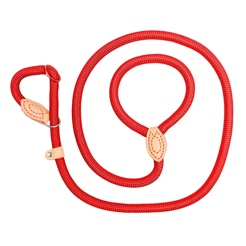 Nylon Dog Training Leash — Heavy-Duty P-Chain Lead for Outdoor Walking S M L XL