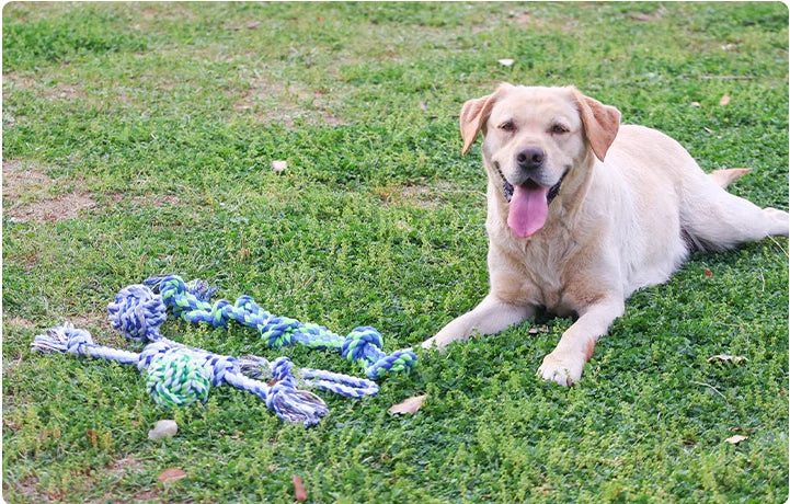 Cotton Dog Rope Toys | Bite-Resistant Interwoven Chew Toy | 12 Designs