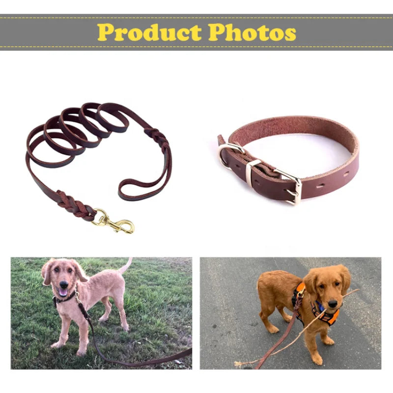Genuine Leather Dog Collar – Adjustable Soft Padded Pet Collar