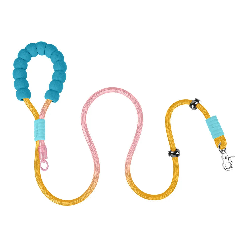 Anti-Shock No-Pull Nylon P-Chain Dog Leash — Reflective