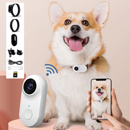 Pet Camera Collar for Cats and Dogs
