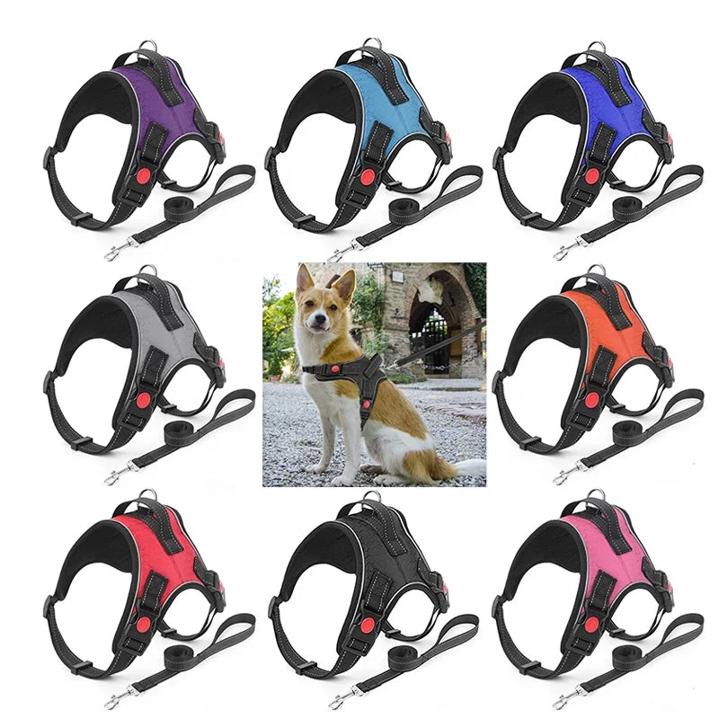 No-Pull Reversible Dog Vest Harness with Leash | Reflective Adjustable