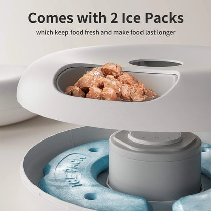 Automatic Cat Feeder with LED Screen — 6 Meals, 200ml Per Tray