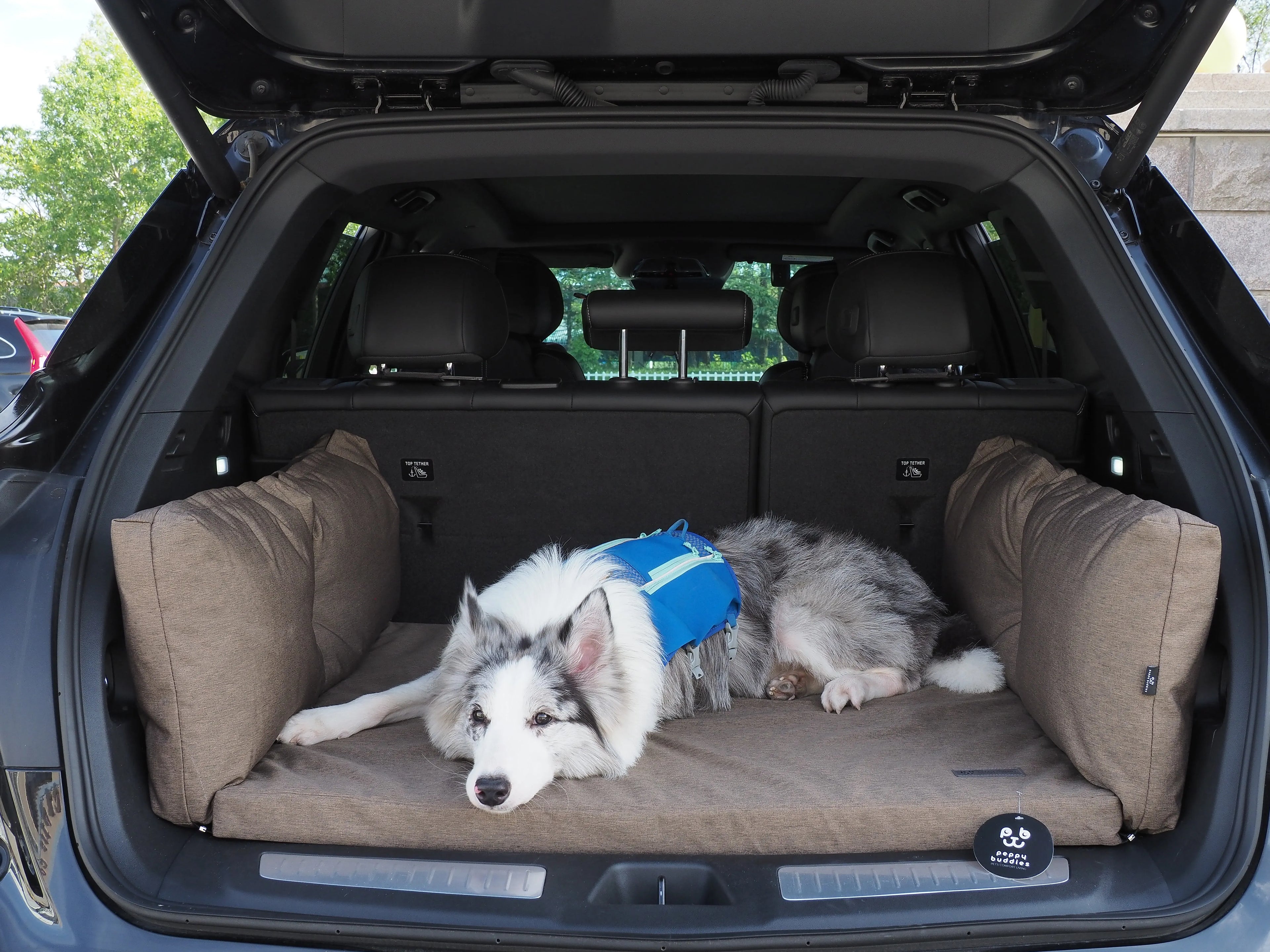 Waterproof Oxford Orthopedic Pet Mat | Car Trunk Protector & Travel Dog Bed