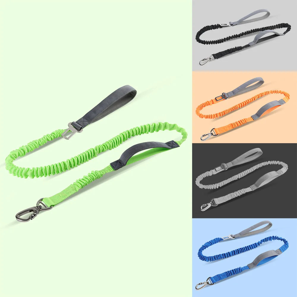 Elastic Dog Leash with Feather Decoration — Multifunctional Polyester Walking Lead 2.5cm x 125cm