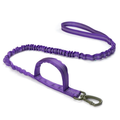 Bungee Dog Leash with Dual Handle — Anti-Shock, Padded