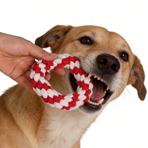 Christmas Round Dog Rope Chew Toy | 11cm Red & White | Festive Holiday Dog Toy