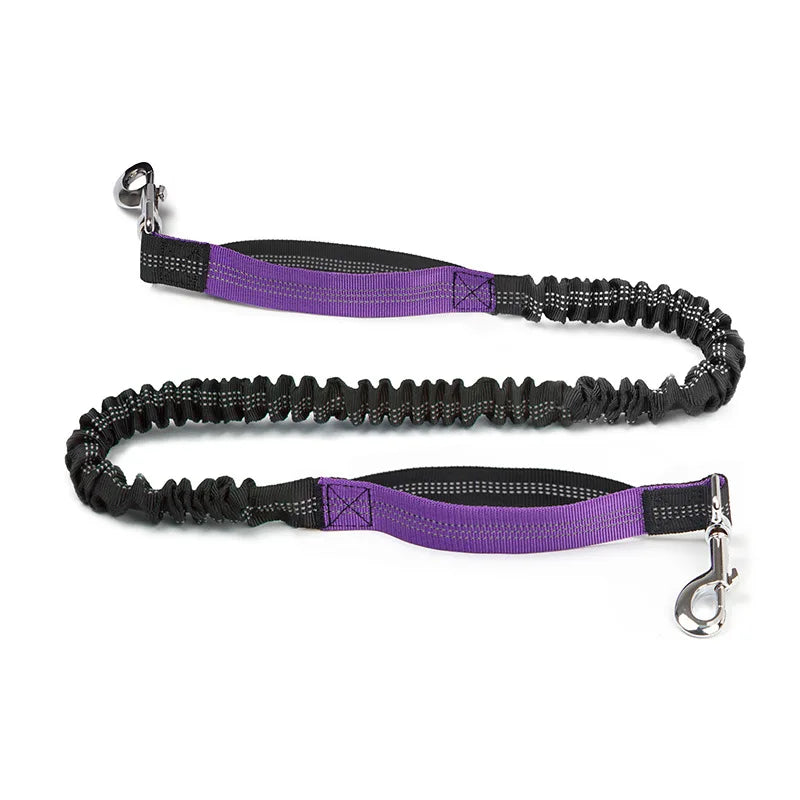 Reflective Adjustable Dog Leash — Durable Nylon Running Lead for Dogs & Cats