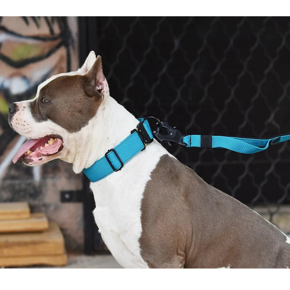 Tactical Dog Collar with Control Handle – Heavy-Duty Adjustable Nylon Collar with Metal Buckle for Large Dogs | M L XL XXL