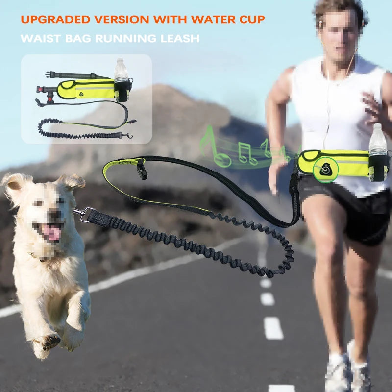 Hands-Free Dog Leash for Running – Bungee Leash Set with Waterproof Waist Pack