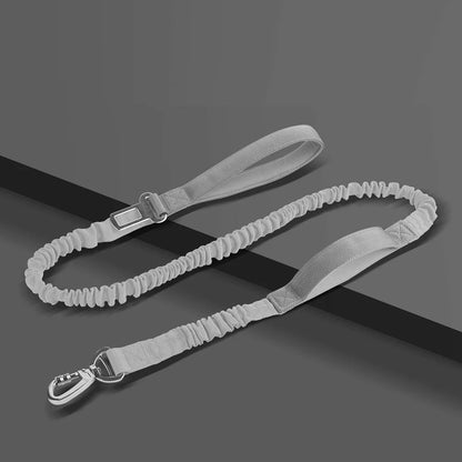 Elastic Dog Leash with Feather Decoration — Multifunctional Polyester Walking Lead 2.5cm x 125cm