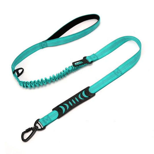 2-in-1 Elastic Dog Running Leash & Car Seat Belt | Retractable Safety Leash