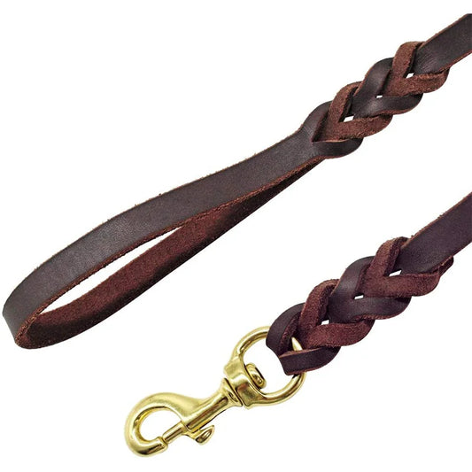 Genuine Leather Dog Collar – Adjustable Soft Padded Pet Collar