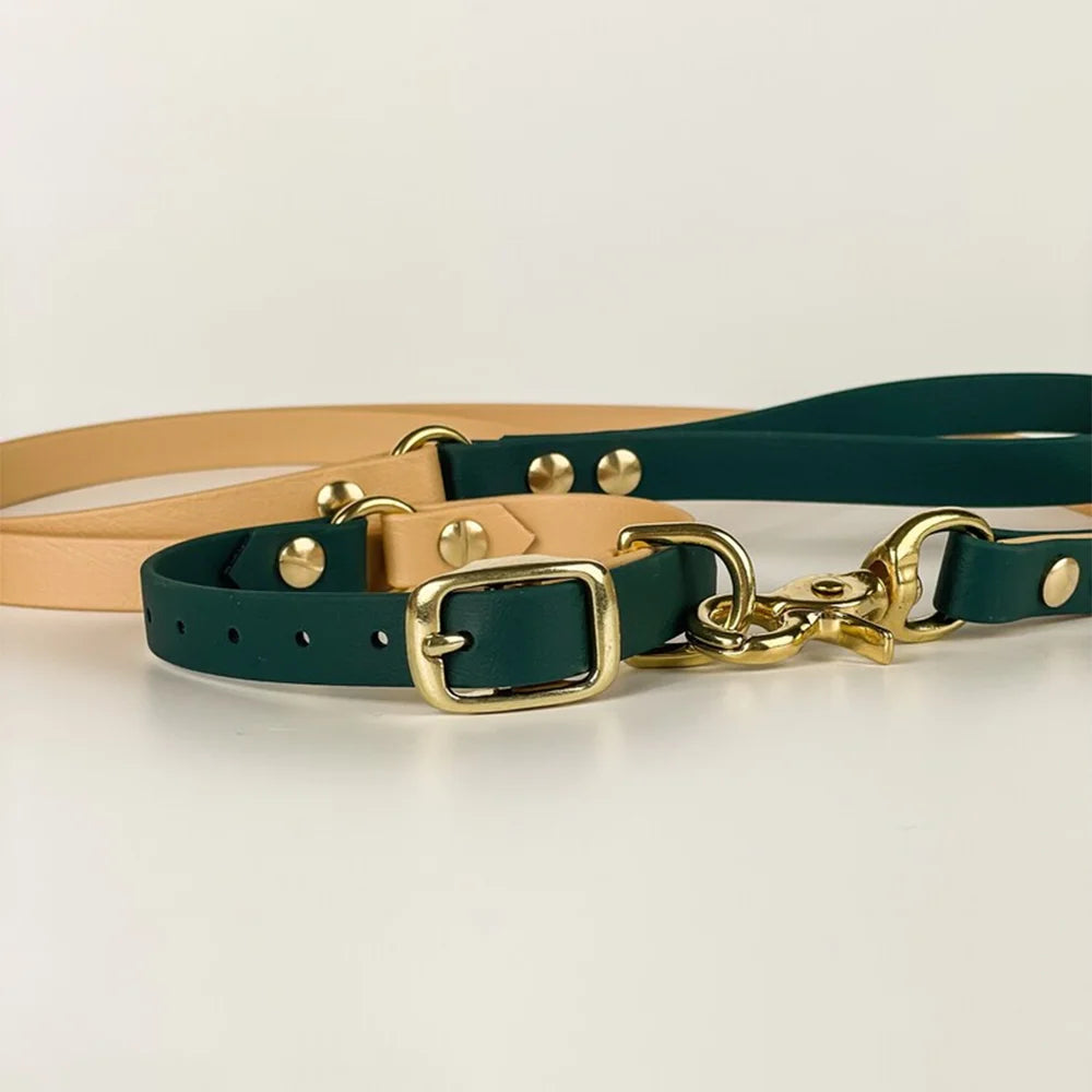 PVC Coated Dog Collar and Leash Set – Waterproof Training Collar with Brass Hardware