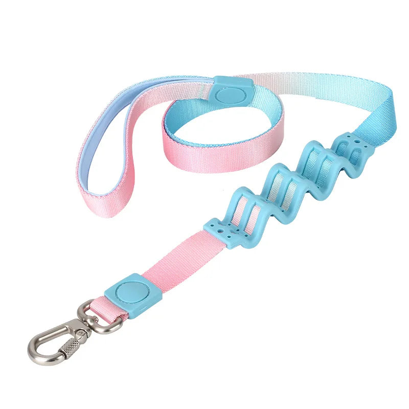 Gradient Color Dog Leash — Shock-Absorbing Polyester