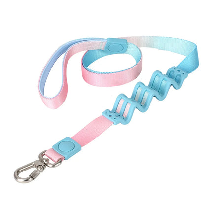 Gradient Color Dog Leash — Shock-Absorbing Polyester