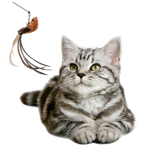 Feather Foam Bird Cat Wand Toy – Eco-Friendly Replacement Heads & Wand Poles