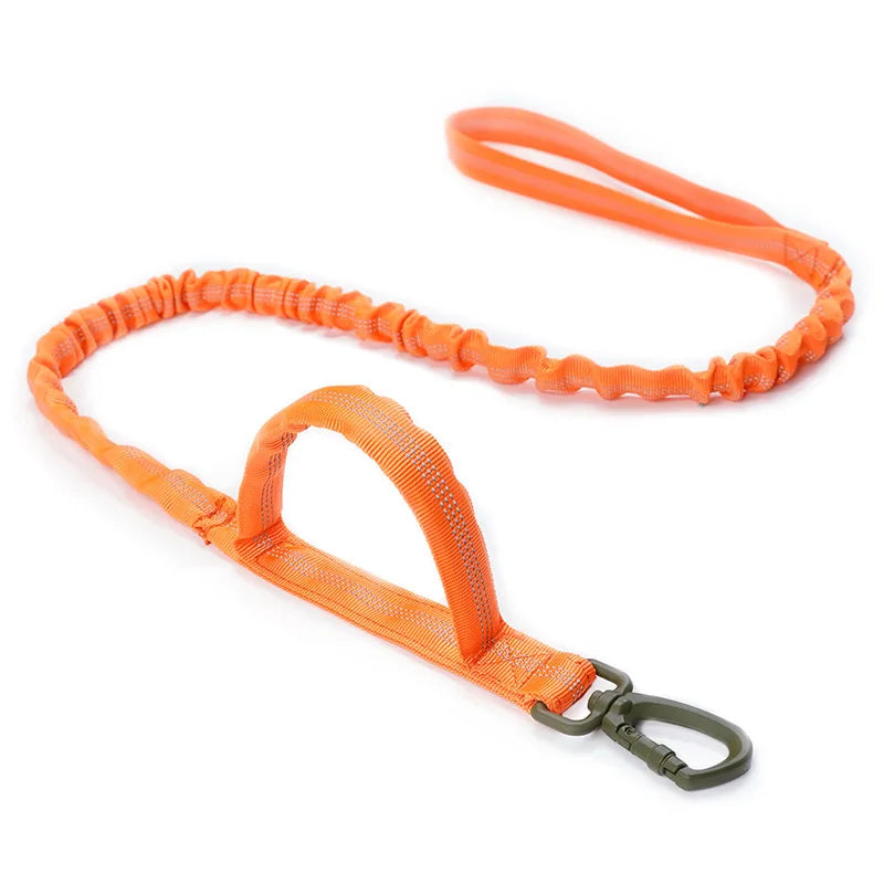 Bungee Dog Leash with Dual Handle — Anti-Shock, Padded