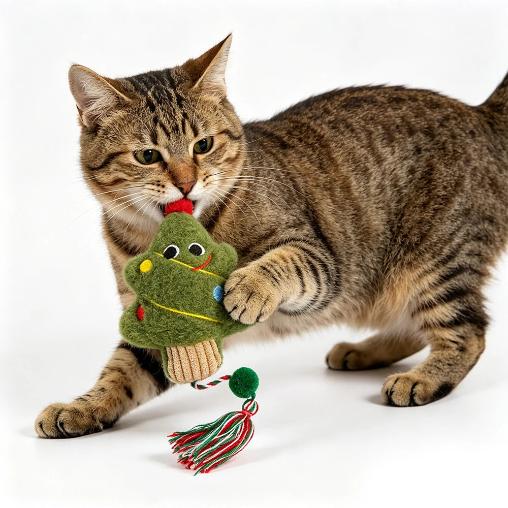 Catnip Plush Cat Toy Ball with Rope – Interactive Kitten Toy