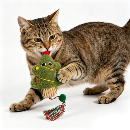 Catnip Plush Cat Toy Ball with Rope – Interactive Kitten Toy