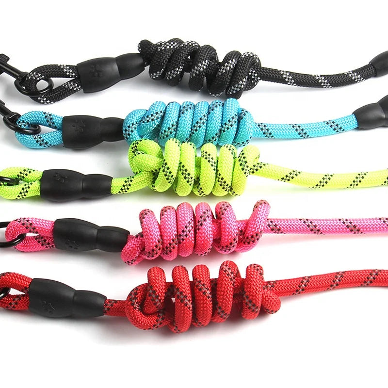Reflective Slip Lead Dog Leash 5ft | Heavy Duty Braided Nylon