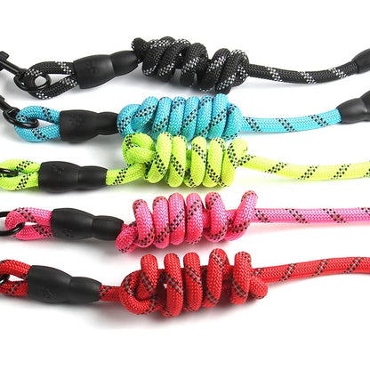 Reflective Slip Lead Dog Leash 5ft | Heavy Duty Braided Nylon