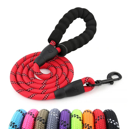 Reflective Nylon Dog Leash with Neoprene Handle Solid Lead