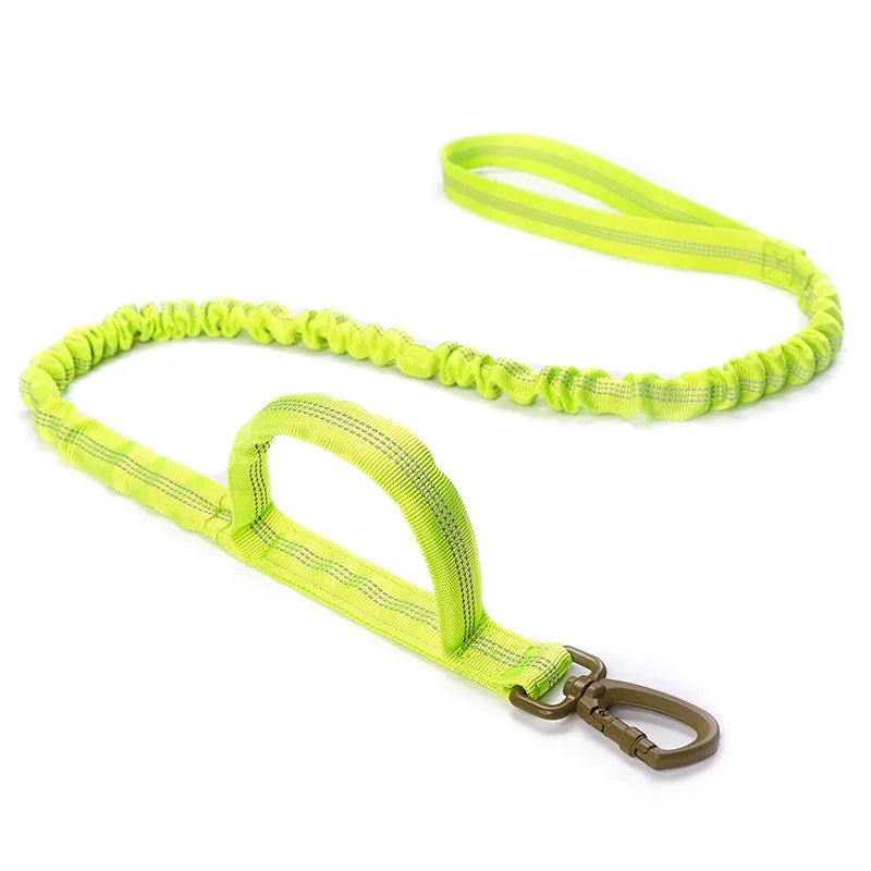 Bungee Dog Leash with Dual Handle — Anti-Shock, Padded
